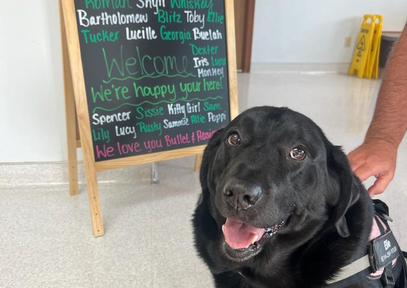 Carousel Slide 4: Sweet Ellie in for her visit