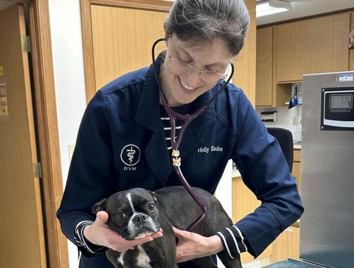 Carousel Slide 2: Dr. Eades examining our friend Jessie as part of a routine annual exam